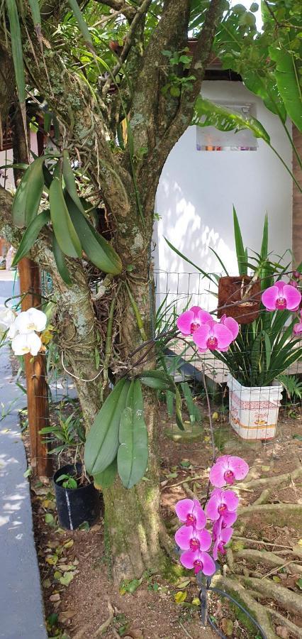 Suites No Paraiso Da 伊利亚贝拉 外观 照片